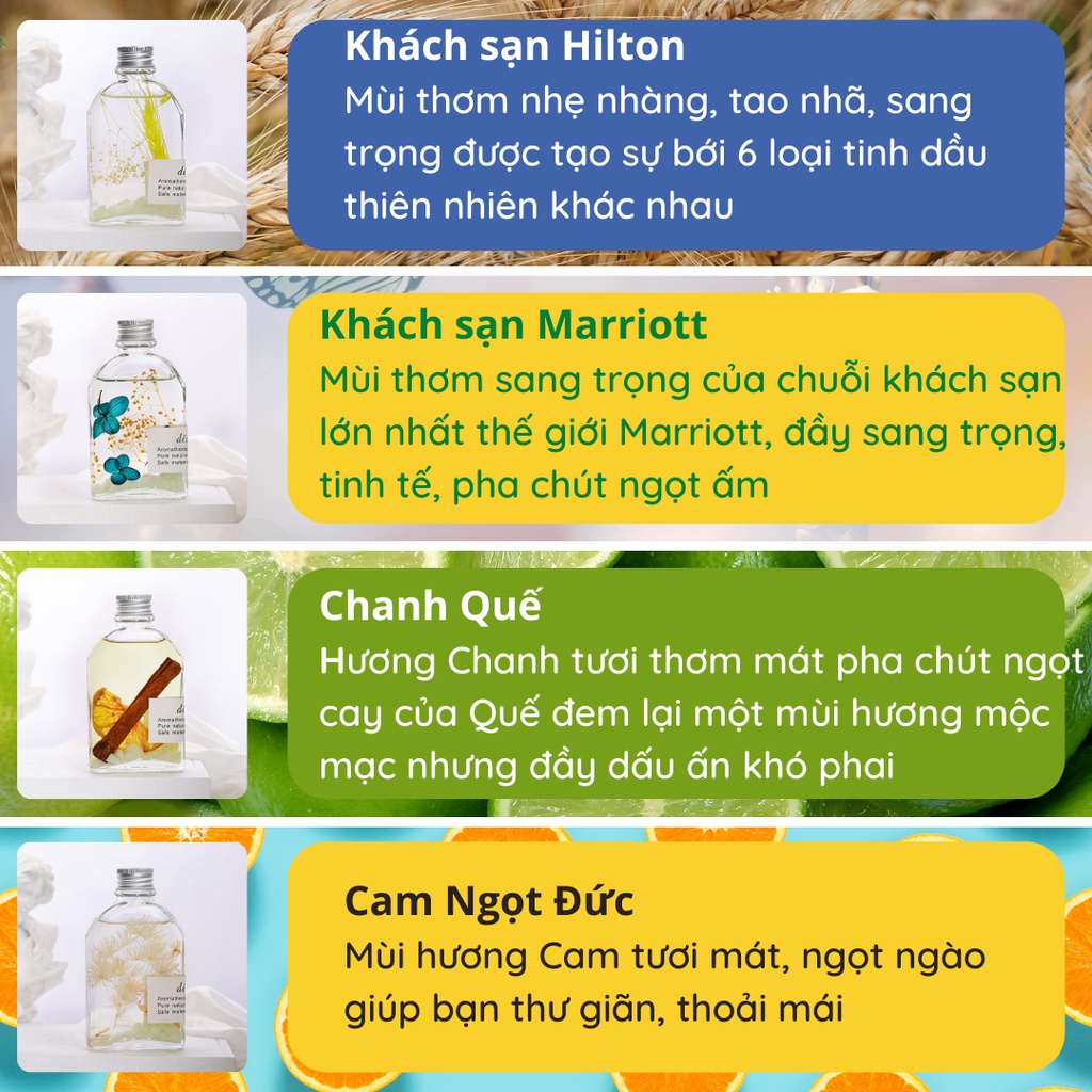 Tinh dầu thơm phòng WIACHNN tinh dầu thiên nhiên thơm phòng ngủ có que gỗ khuếch tán thơm để phòng ngủ