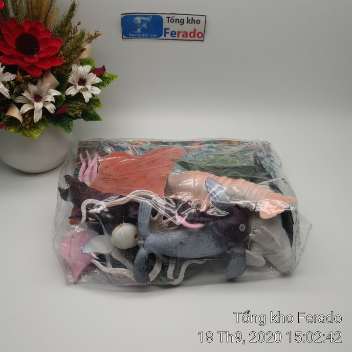 Bộ 10 mô hình đồ chơi động vật biển cho trẻ em