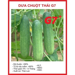 Hạt giống dưa chuột thái g7 - 10 hạt hạt giống bốn mùa