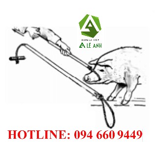 GẬY BẮT HEO - KHÓP MÕM CHÓ CÓ TAY ĐỆM CAO SU