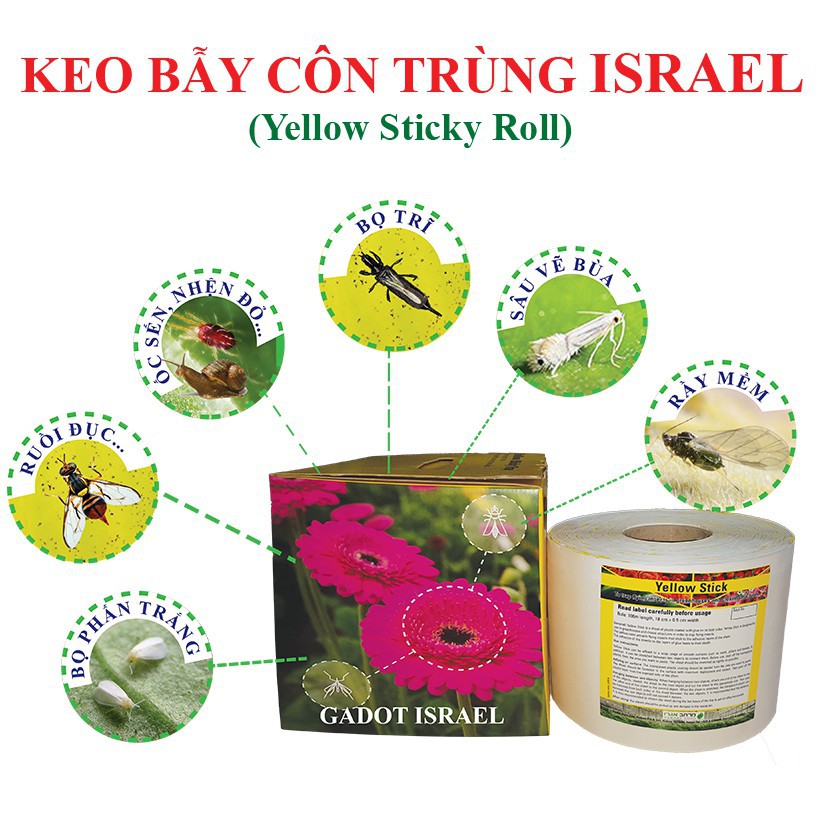 [Hàng chuẩn zin] BẪY CÔN TRÙNG VÀNG 2 MẶT ISRAEL (khổ 19cmx1m) bẫy bọ trĩ, bọ phấn, ruồi đục