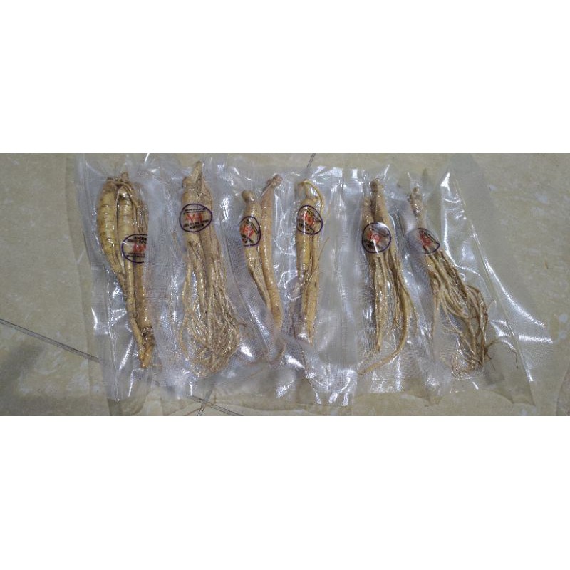 [Linh Anh] Chuyên cung cấp Sâm tươi Hàn Quốc 99k/2 củ NSHQ-001 | BigBuy360 - bigbuy360.vn