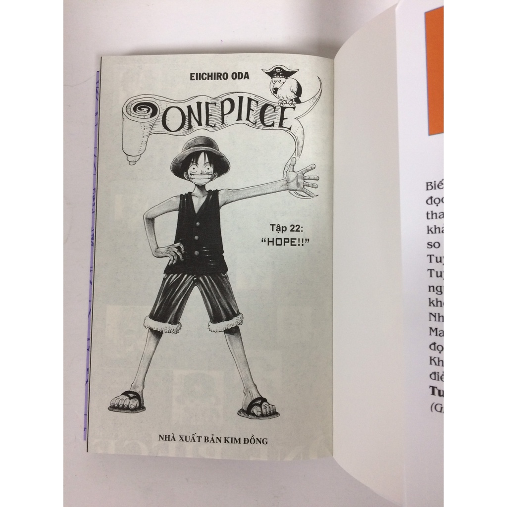 Sách - One piece - Tập 22 (Bìa rời)