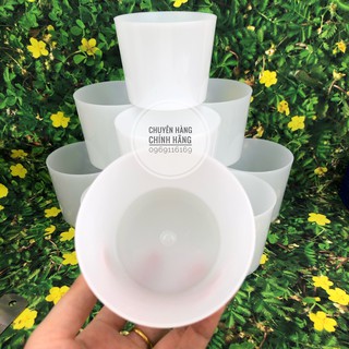CHUNG ĐÁ ĐẠI HOFACO HPL29