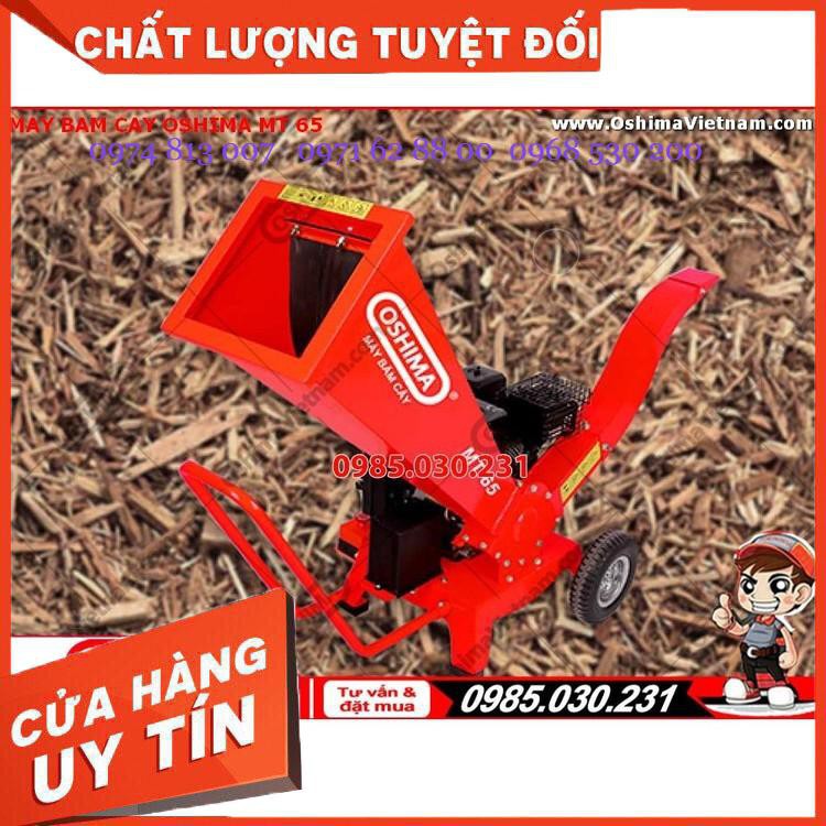 Máy băm cây 4 thì Oshima MT 65 (MT65)