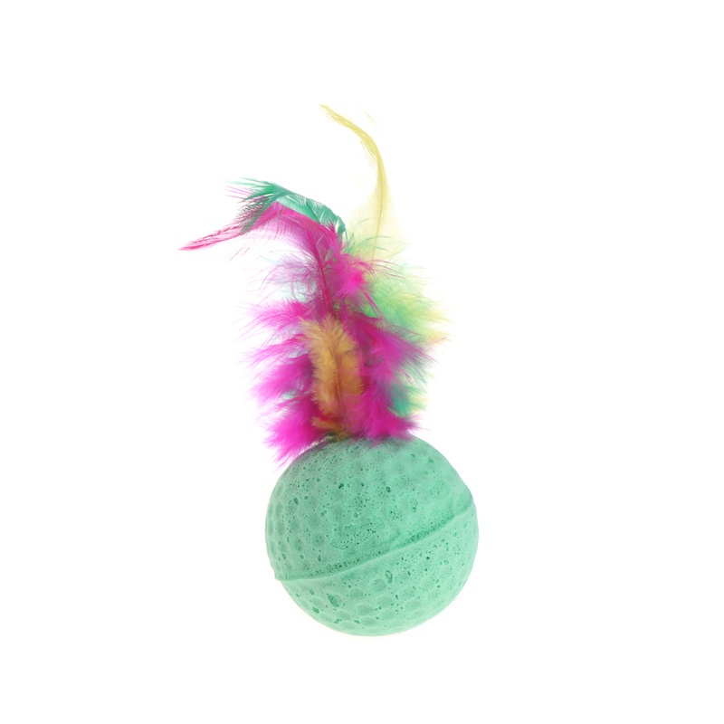 Set 10 Lông Vũ Đồ Chơi Cho Mèo