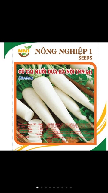 Hạt giống củ cải muối dưa Hà Nội- gói 10 gr