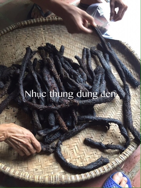 100g Nhục Thung Dung ( Khô )