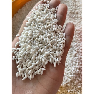 Nếp Ngỗng Dẻo Thơm Ngon 1ky
