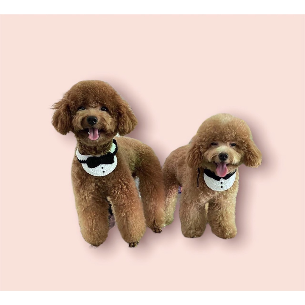 Vòng cổ len handmade cho CHÓ/MÈO