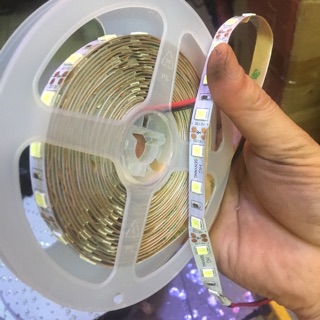 Led dây 5m loại tốt Senyang