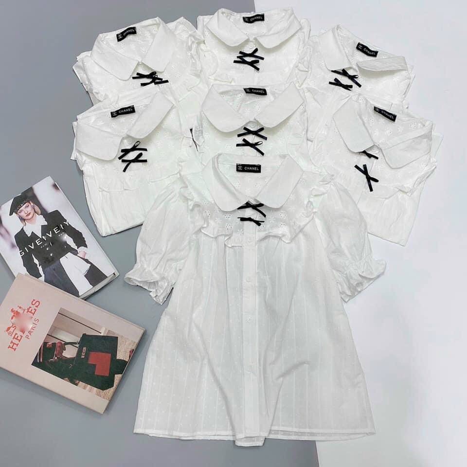 Áo sơ mi công sở cổ ren freeship freeship