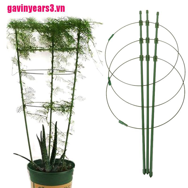 Khung Hỗ Trợ Trồng Cây Dây Leo 45cm Gav3