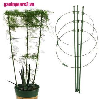 Khung Hỗ Trợ Trồng Cây Dây Leo 45cm