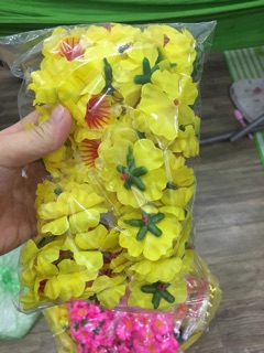 Hoa đào mai túi 50 bông