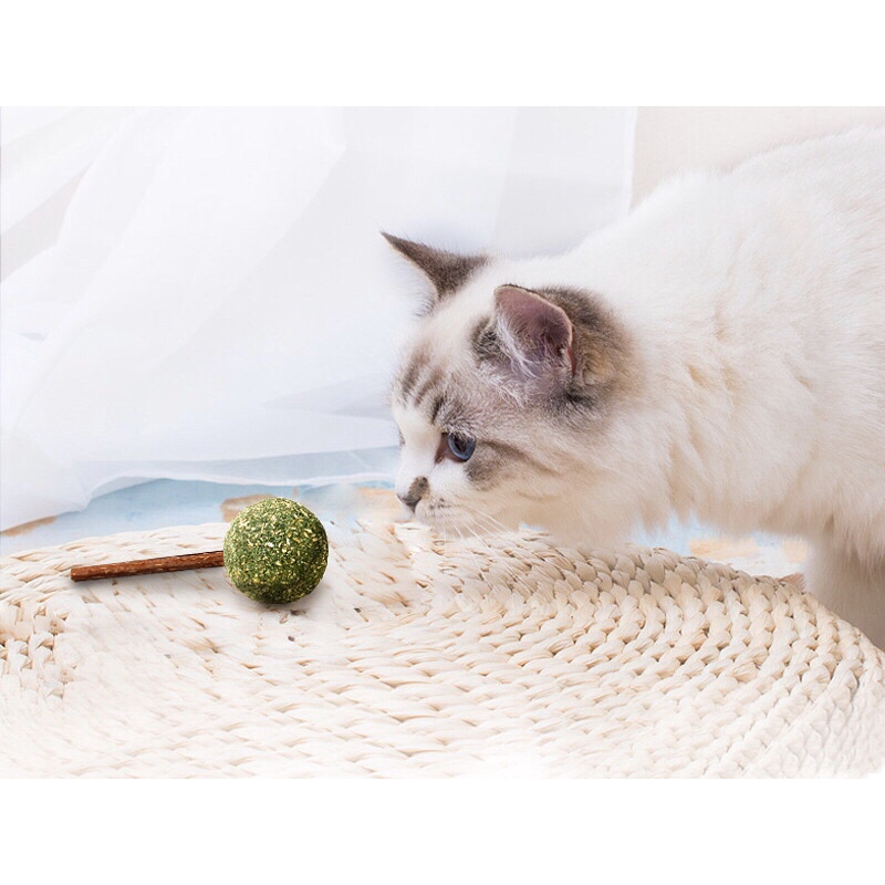 Cỏ Mèo, Catnip, Cỏ Bạc Hà, Kẹo Mút Cỏ Mèo Pet Snack