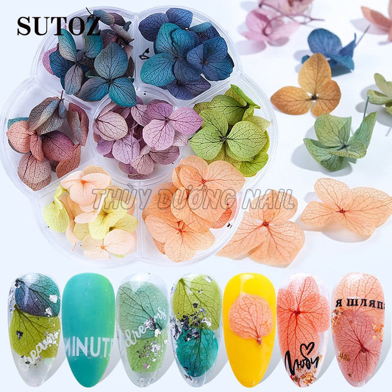Set hoa khô Nhật Bản ẩn gel 7 màu (từ 45 đến 50 hoa, màu ngẫu nhiên)