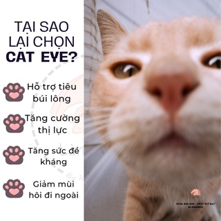 Cat Eye hạt thức ăn khô cho mèo