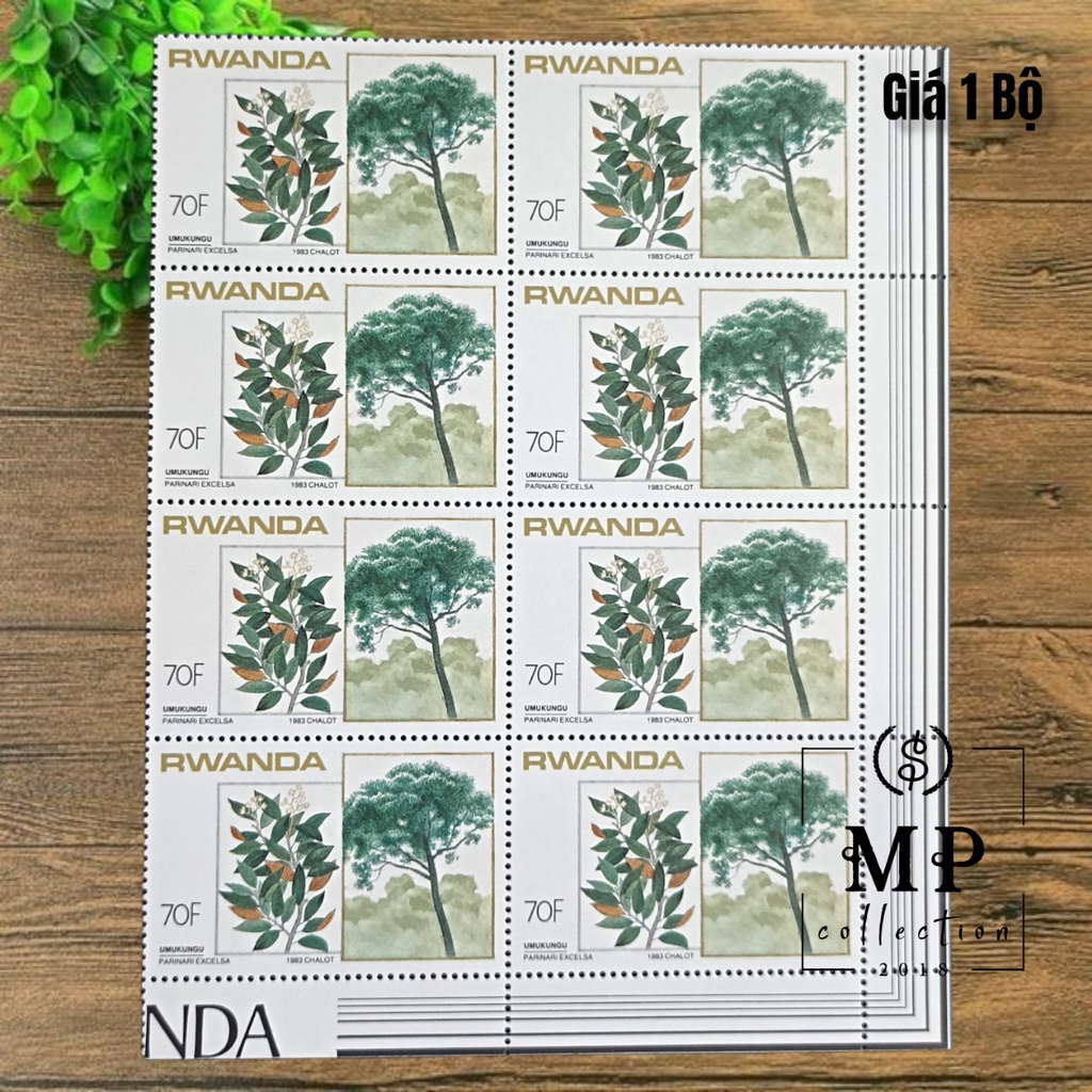Bộ 8 tem hoa Rwanda 1983 sưu tầm