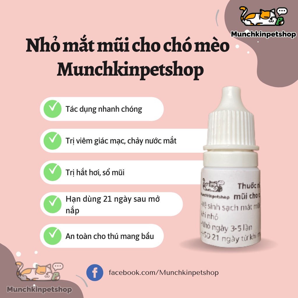 Nhỏ mắt mũi MCP cho mèo bị viêm mí, chảy nước mắt, hắt hơi, sổ mũi