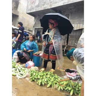 MƯỚP ĐẮNG , KHỔ QUA RỪNG ( 1 KG)