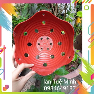 Chậu nhựa lan bèo giả đất đủ size hàng đẹp (Hàng Loại 1)