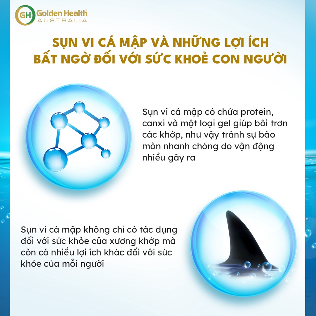 [GOLDEN HEALTH] Sụn vi cá mập - Blue Shark Cartilage 750mg hộp 365 viên