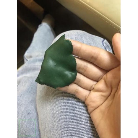 500gr Mask Dẻo Tảo xoắn Spirulina handmade