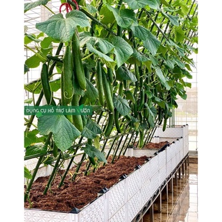 Combo 10 ống thép bọc nhựa dài 240-270cm ống lõi thép bọc nhựa của Nhật