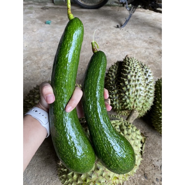 [LOẠI ĐẶC BIỆT] 1kg bơ 034 Lâm Đồng