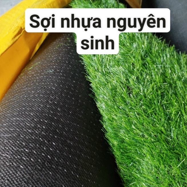 Miếng thảm cỏ nhân tạo sợi nhựa 3cm khổ cắt 50x50cm