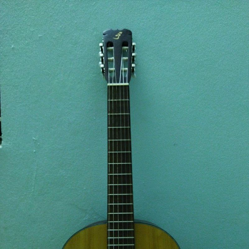 Đàn guitar classic c100