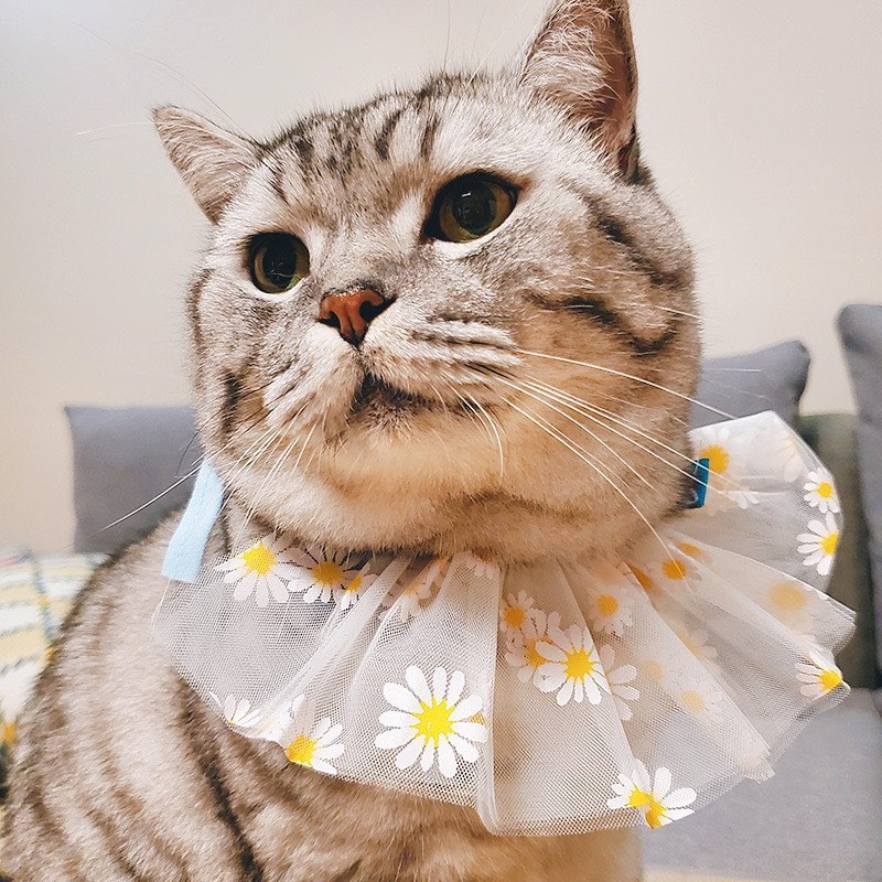 Yếm Cổ Ren Hoa Cho Thú Cưng