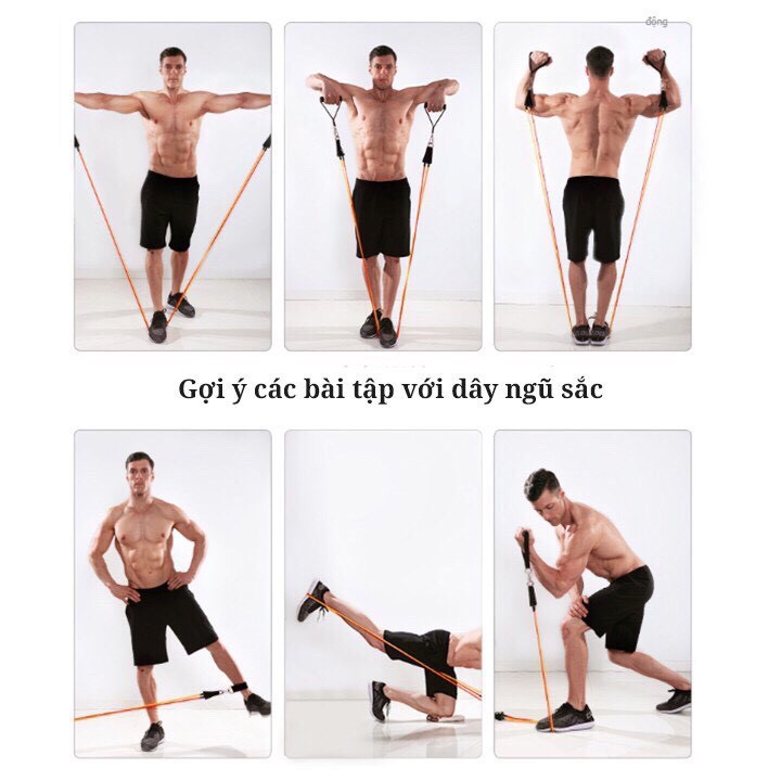 Bộ dây tập gym,thể hình, Fitness ngũ sắc đàn hồi đa năng 11 món dành cho nam và nữ