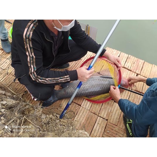 Cần tay săn hàng chính hãng Hãn tộc, cần câu cá trắm, cá chép, cần câu đơn câu đài