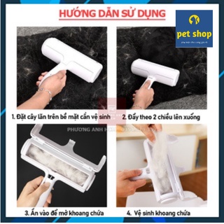 Cây Lăn Lông Tĩnh Điện