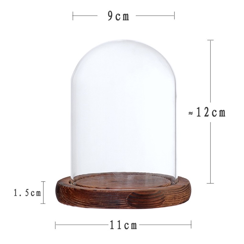 Chụp hoa khô quả cầu thuỷ tinh siêu vintage trang trí phòng ngủ decor phong cách Bắc Âu