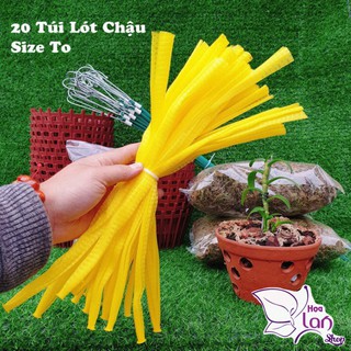 Giá Thể Trồng Lan ⭐ Chọn Bộ Đầy Đủ ⭐Vật Tư + Phân Thuốc Giá Thể Trồng 10 Chậu Lan [ Cho Người Biết Chơi ]]