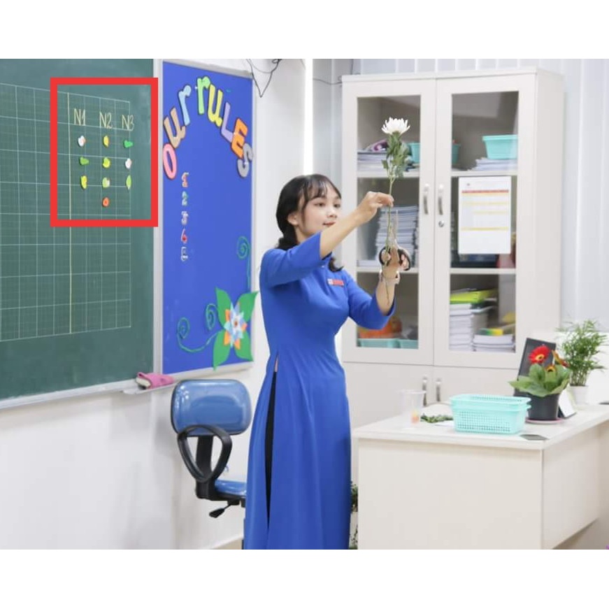 Set NAM CHÂM TUYÊN DƯƠNG  - mix mẫu ngẫu nhiên