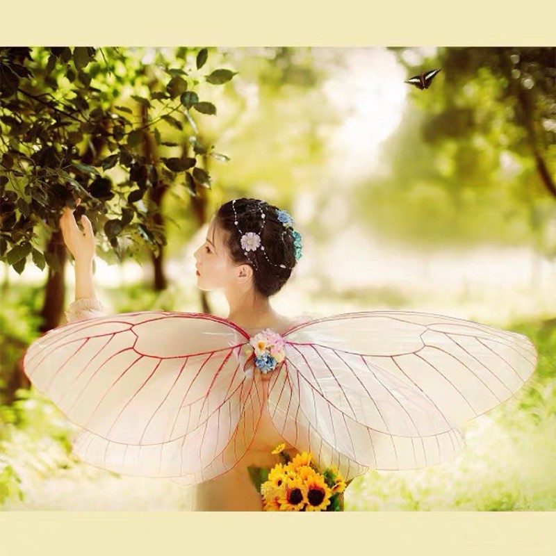 Cánh tiên đạo cụ chụp ảnh hoá trang