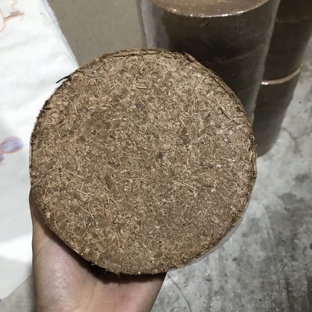 ĐẤT HỮU CƠ MỤN XƠ DỪA TRỒNG RAU,HOA CÂY CẢNH