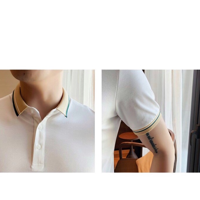 Áo polo nam trơn cổ bẻ - Áo thun nam vải cá xấu cotton tay ngắn thoáng mát&lt;Hàng Cao Cấp&gt; A02