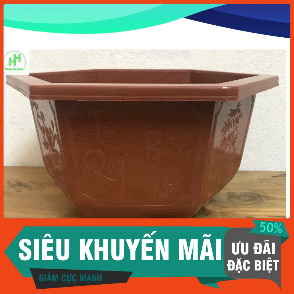 (Siêu Khuyến Mãi) 1 Châu Nhựa Bonsai Lục Giác Bình Thuận 250x150 Trồng Hoa, Cây Cảnh,