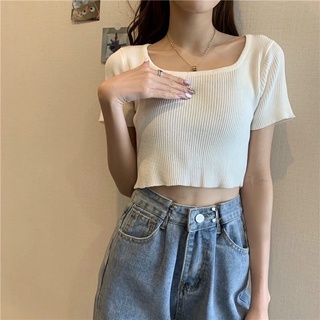 Áo kiểu gân cổ bẻ mềm mịn