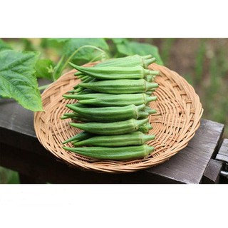 Hạt Giống Đậu Bắp Xanh Cao Sản 20gr