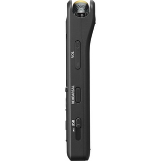 Máy ghi âm Sony PCM-A10