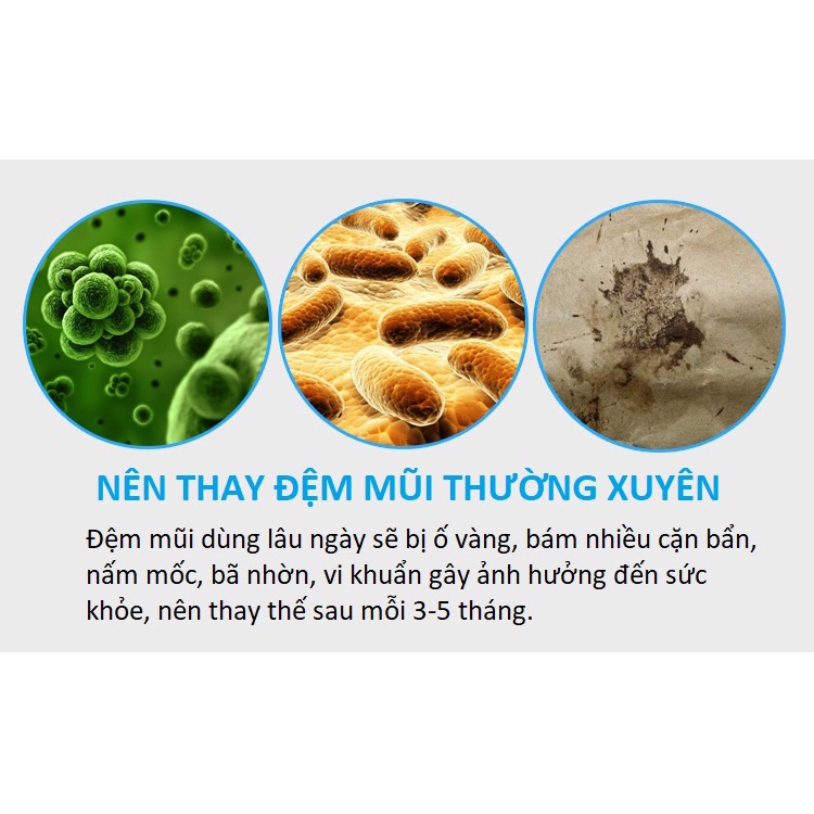 Đệm mũi màu hồng ngọc chân mạ vàng cho nữ (1 cặp)
