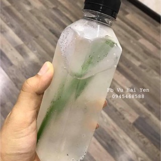 50 chai nhựa PET 330ml