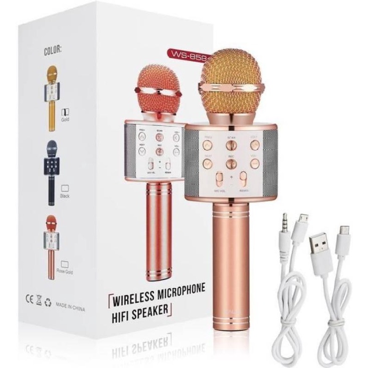 mic hát karaoke 858