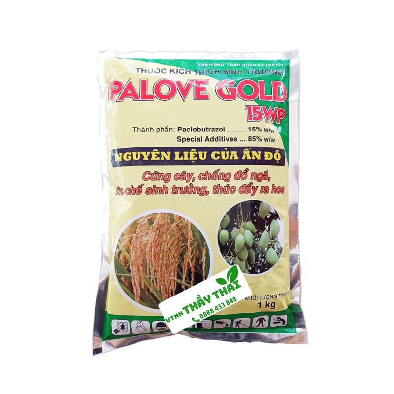 Paclo 15WP Palove ấn độ -Thuốc kích thích sinh trưởng thay thế bidamin 15WP, phân hóa mần hoa, cứng cây, chống đỗ ngã
